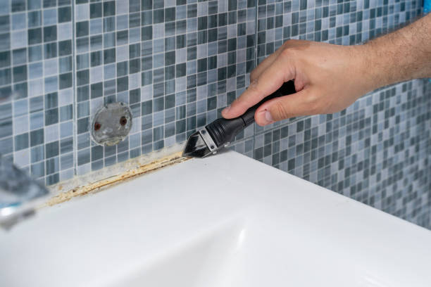Best Insurance-Related Mold Remediation in Shenorock, NY
